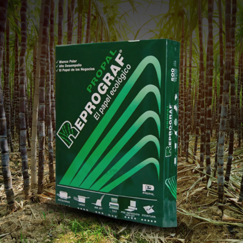 Resmas Reprograf Carta 500 Hojas / Papel Blanco 75g Para Impresora