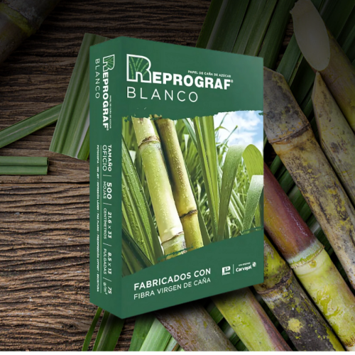 Resma Reprograf Oficio 75g | Papel blanco de alta calidad para impresiones nítidas – 500 hojas